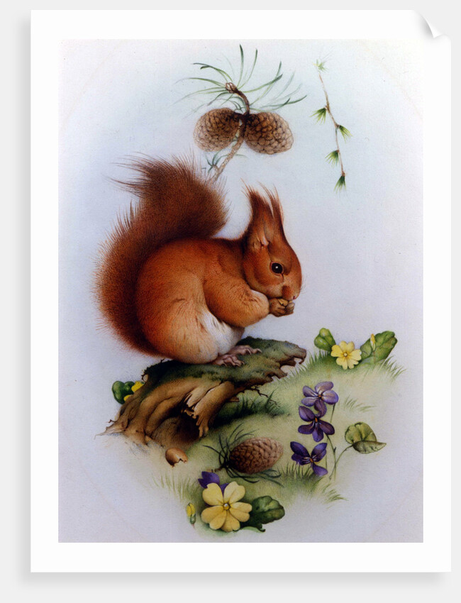 Red Squirrel with Primroses and Violets by Edward Julius Detmold