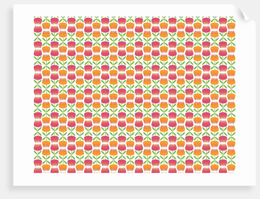 Pink and Orange Tulip Pattern by Anonymous