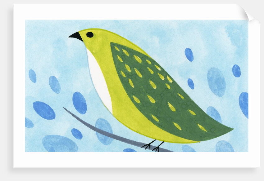 Green Bird on Branch by Anonymous