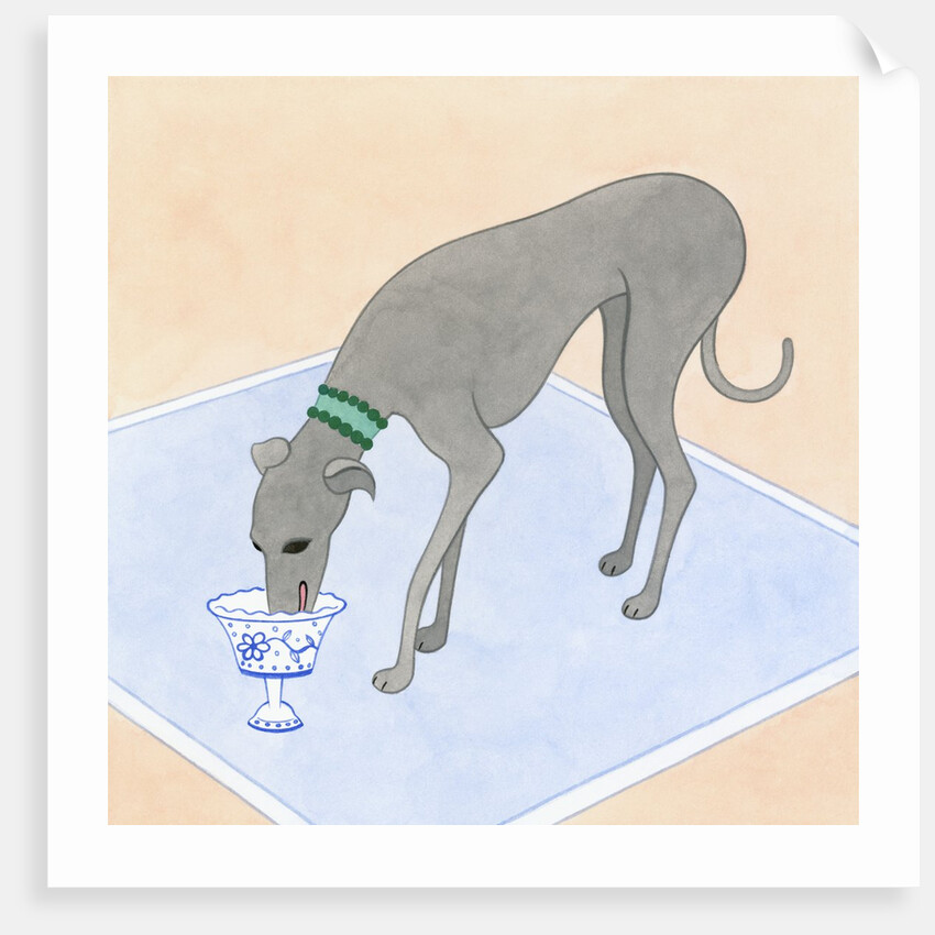 Dog Eating out of a Dish by Anonymous