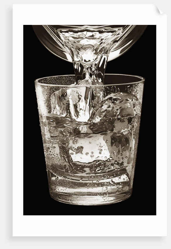 Water Glass by Anonymous