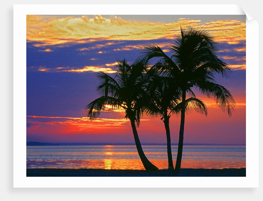 Colorful sunset over Sombrero Beach in the Florida Keys by Anonymous