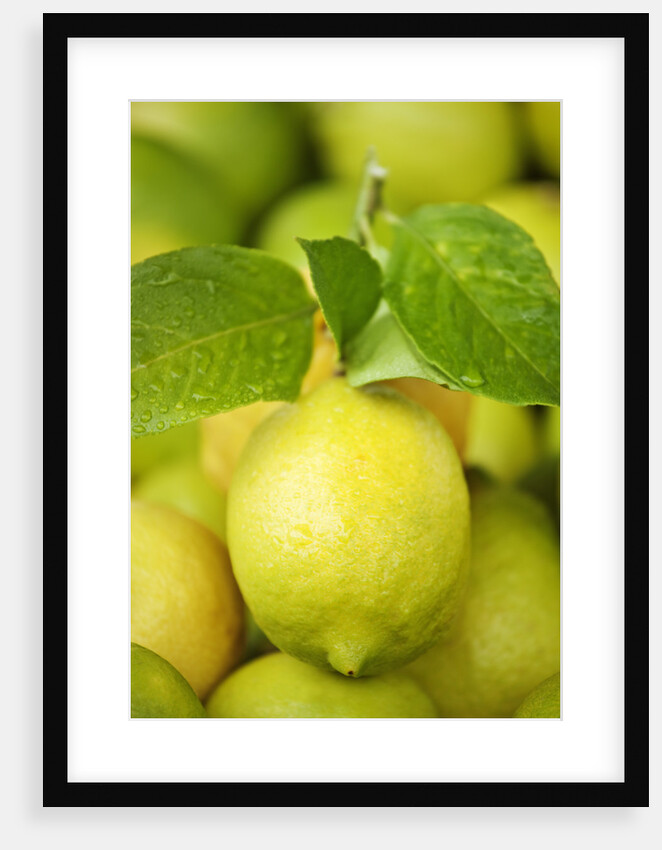 Fresh lemons by Anonymous