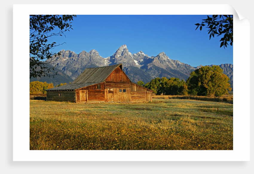 Barn and field by Anonymous