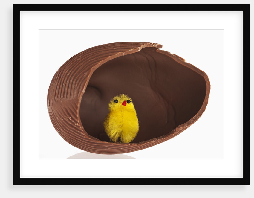Toy chick inside hollow chocolate egg by Anonymous
