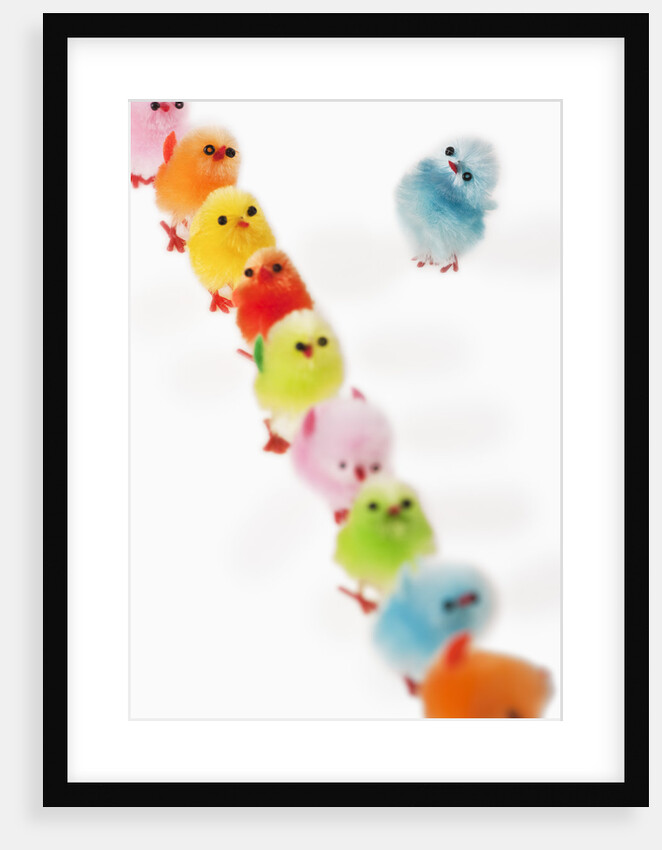 Fluffy toy chicks in a row by Anonymous