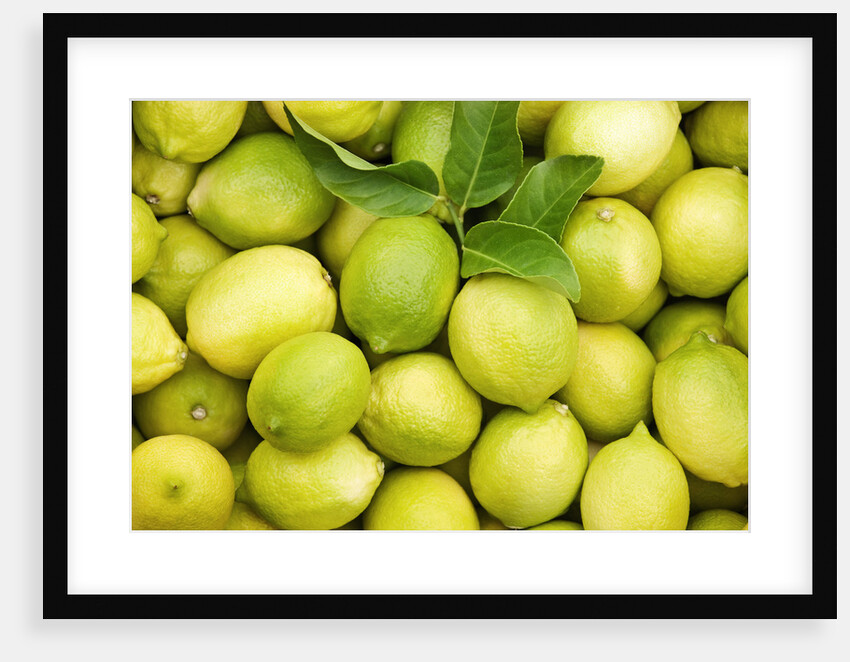 Fresh lemons by Anonymous