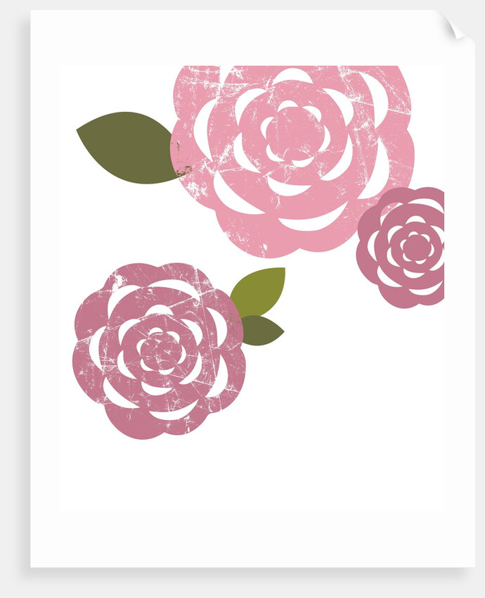 Pink roses by Anonymous
