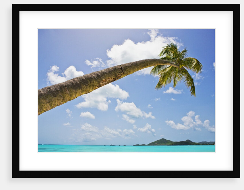 Idyllic tropical beach by Anonymous