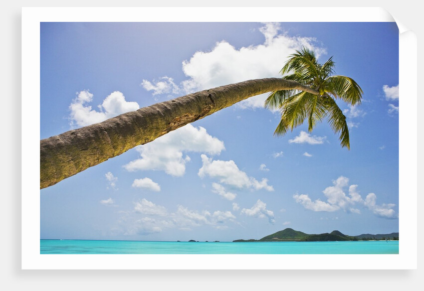 Idyllic tropical beach by Anonymous