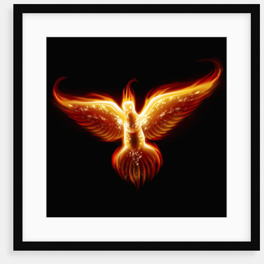 Phoenix by Anonymous