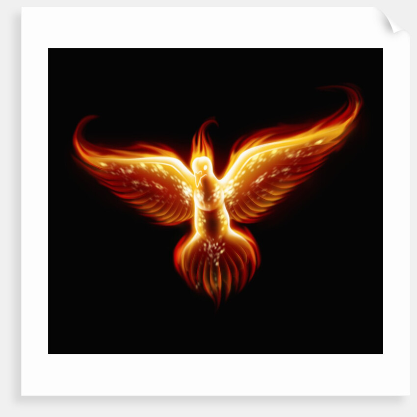 Phoenix by Anonymous