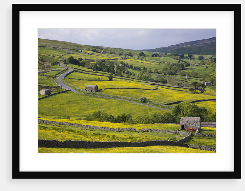 Stone barns and walls in fields by Anonymous