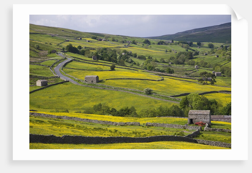 Stone barns and walls in fields by Anonymous