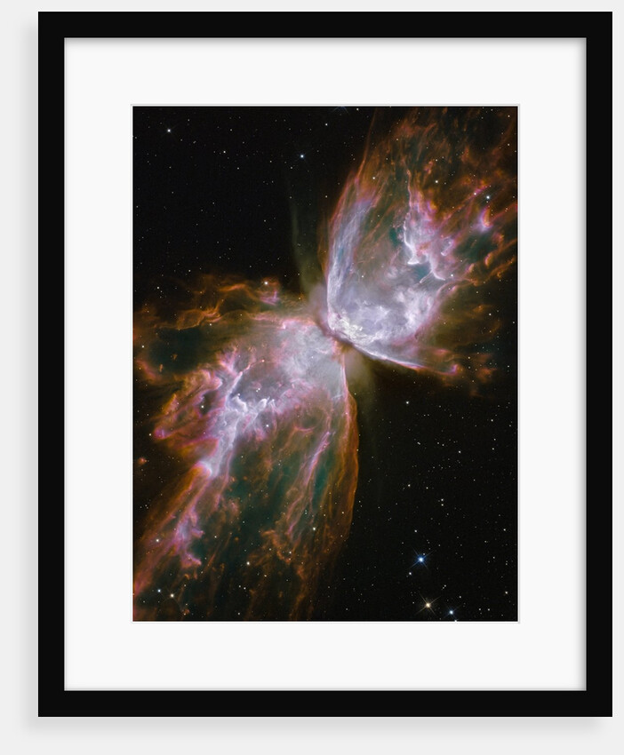 Butterfly shaped Nebula NGC 6302 by Anonymous