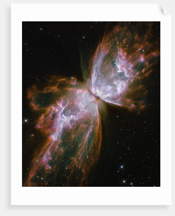 Butterfly shaped Nebula NGC 6302 by Anonymous