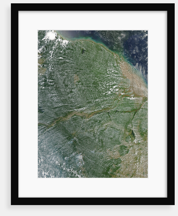 Amazon Rainforest during the dry season by Anonymous