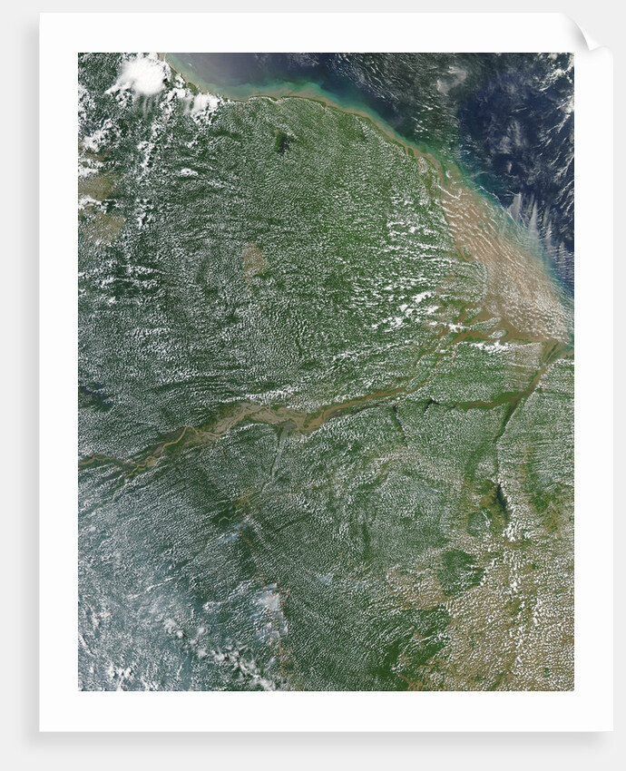 Amazon Rainforest during the dry season by Anonymous