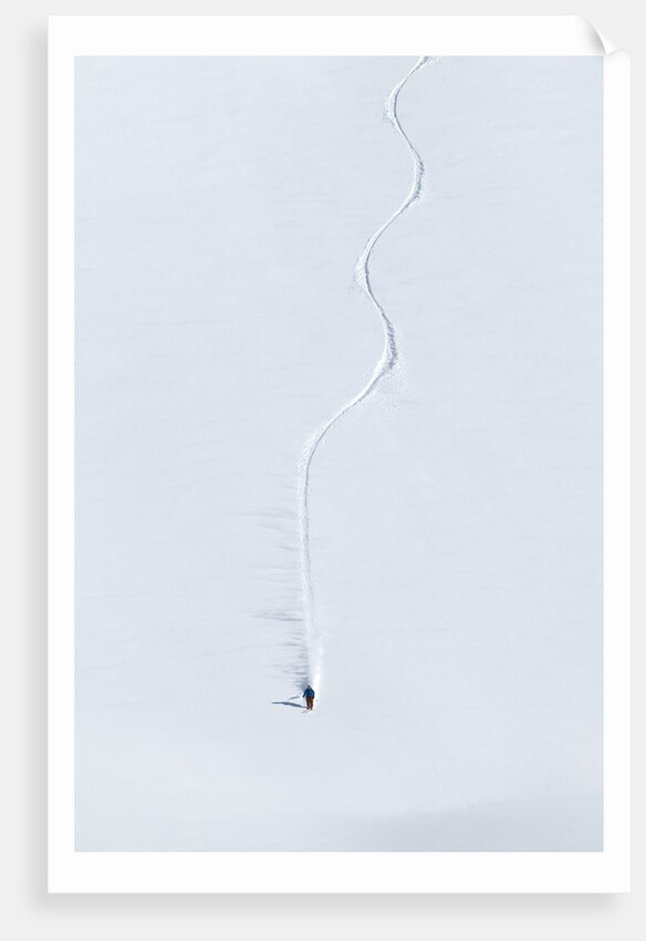 Extreme skier by Anonymous