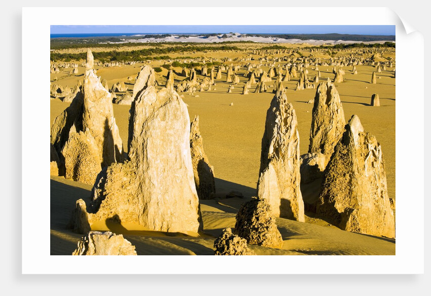 The Pinnacles in Australia by Anonymous