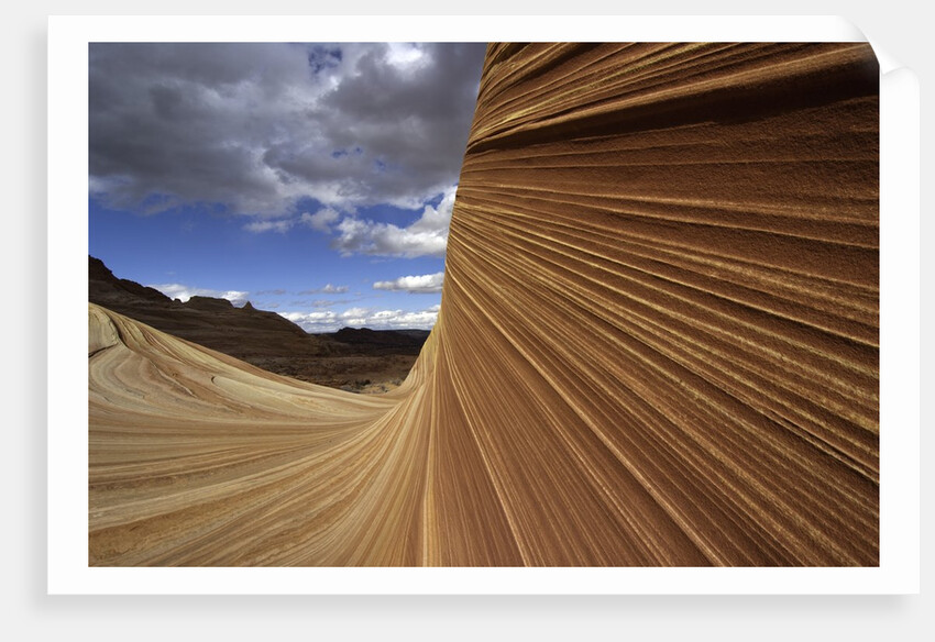 The Wave sandstone formation in Coyote Buttes by Anonymous
