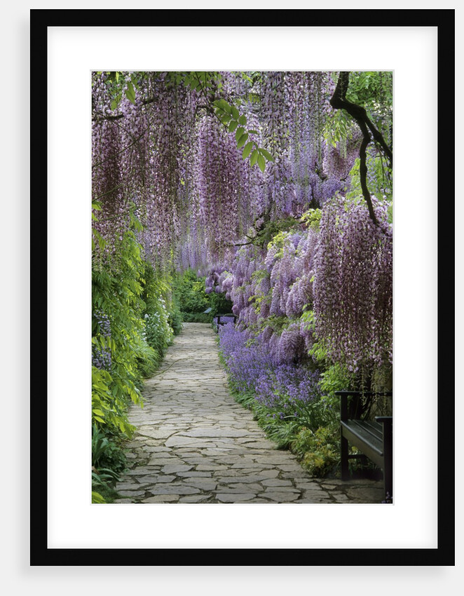 Spring garden by Anonymous