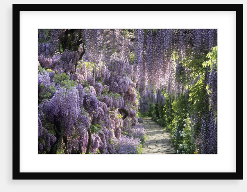 Spring garden by Anonymous