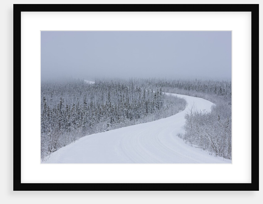 Dempster Highway in snow storm by Anonymous