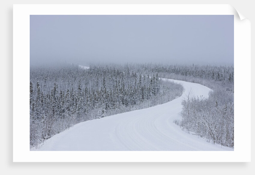 Dempster Highway in snow storm by Anonymous