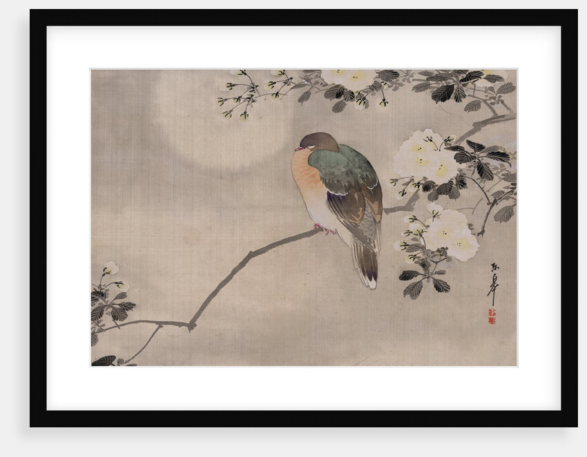 Japanese watercolor of bird perched on a branch of a blossoming tree by Anonymous