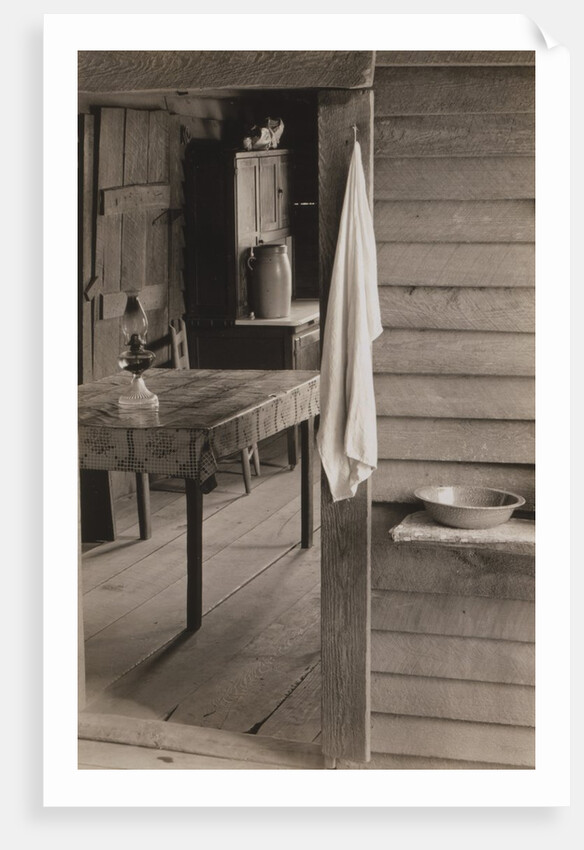 Part of the Kitchen by Walker Evans