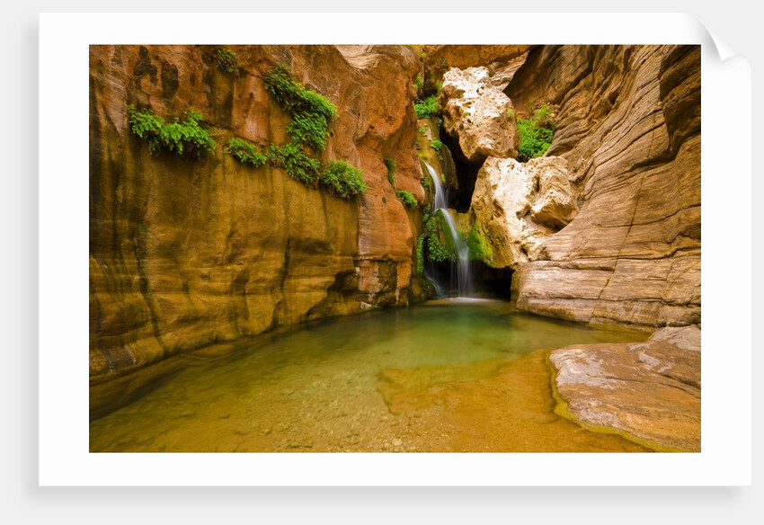Elves Chasm by Anonymous