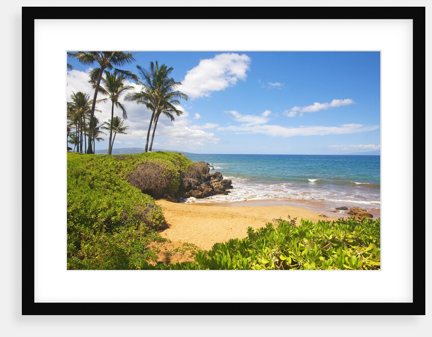 Secluded Po'olenalena Beach on Maui by Anonymous