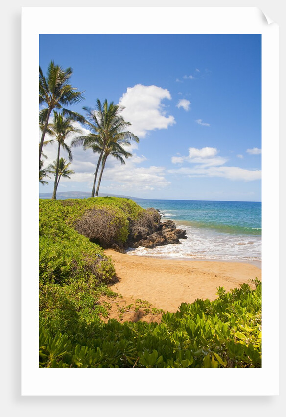 Secluded Po'olenalena Beach on Maui by Anonymous