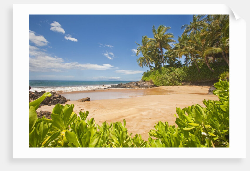 Secluded sandy beach on Maui by Anonymous