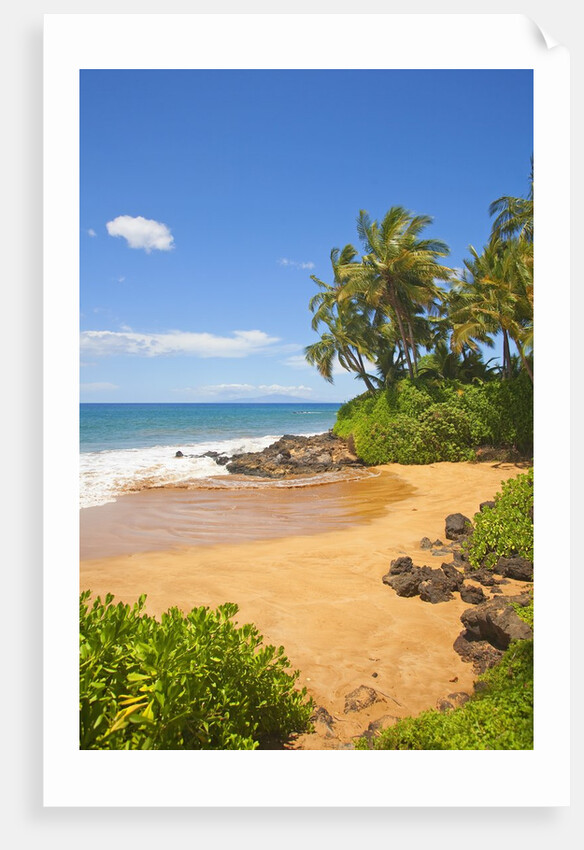 Chang's Beach on Maui by Anonymous