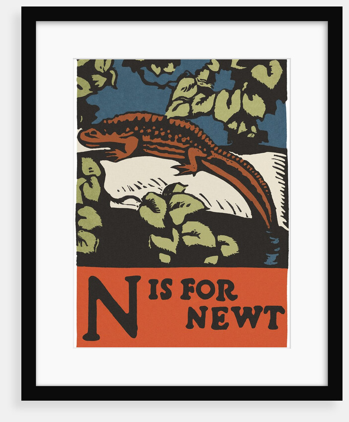 N is for newt by Anonymous