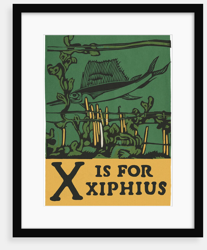 X is for xiphius by Anonymous
