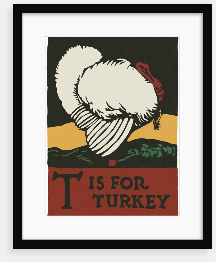 T is for turkey by Anonymous