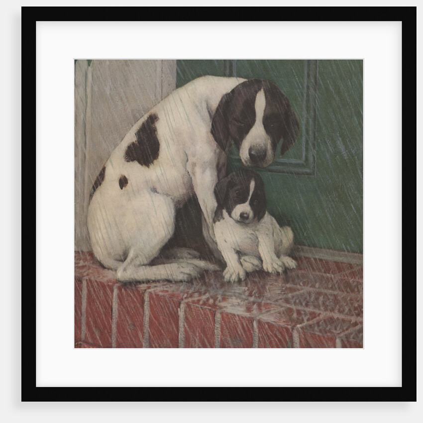 Dog and puppy in rain by Anonymous
