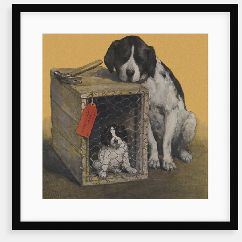 Sad mother dog with puppy in crate by Anonymous
