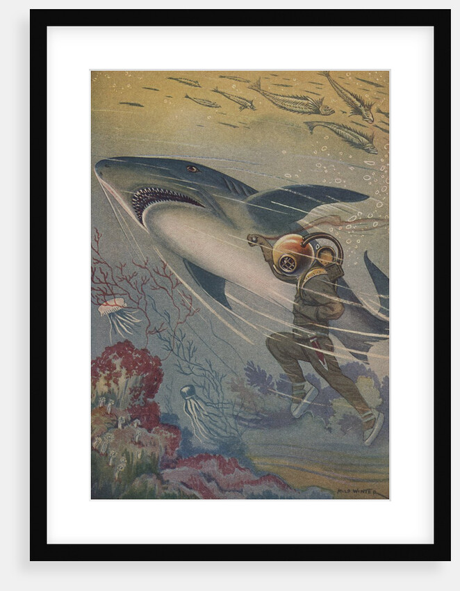 Illustration of diver with shark by Anonymous