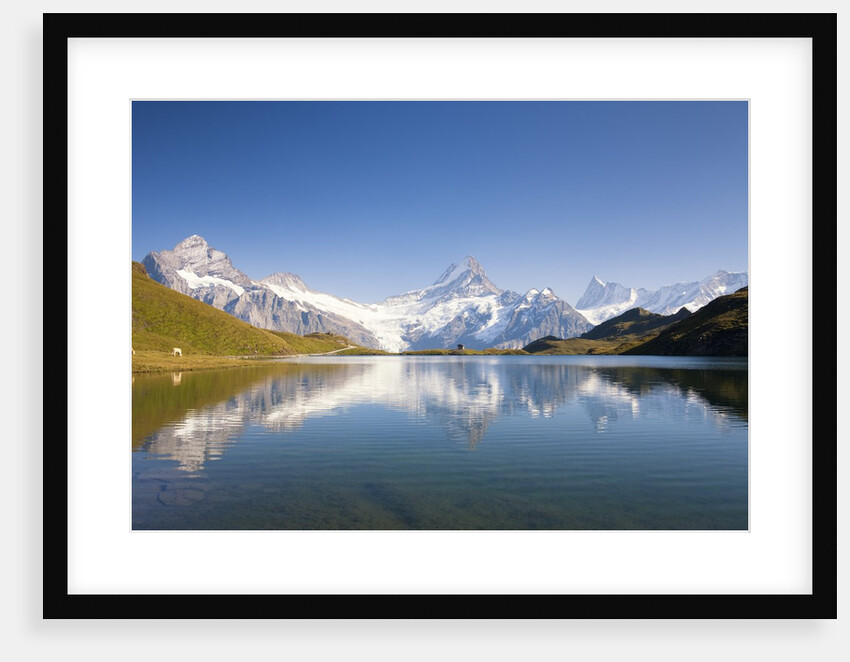 Wetterhorn , Schreckhorn and Finsteraarhorn reflecting in Lake Bachalp by Anonymous