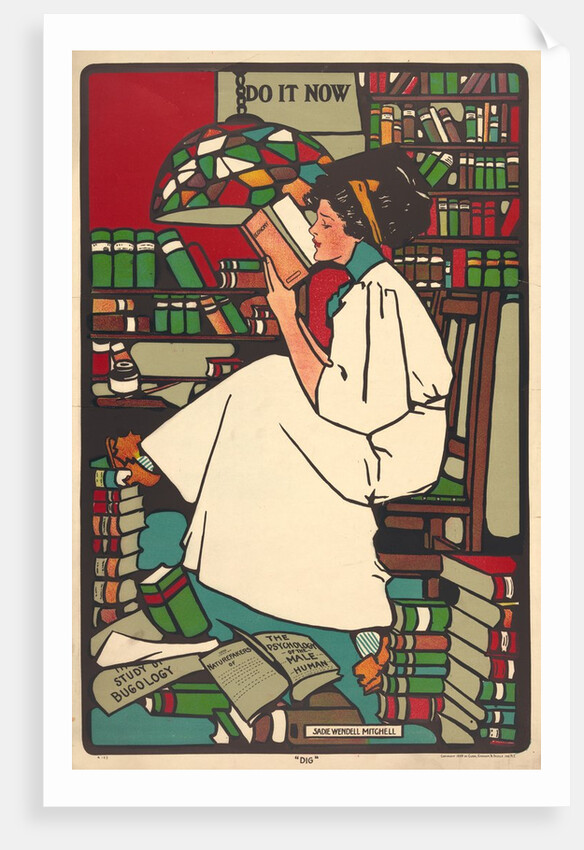 Dig by Sadie Wendell Mitchell