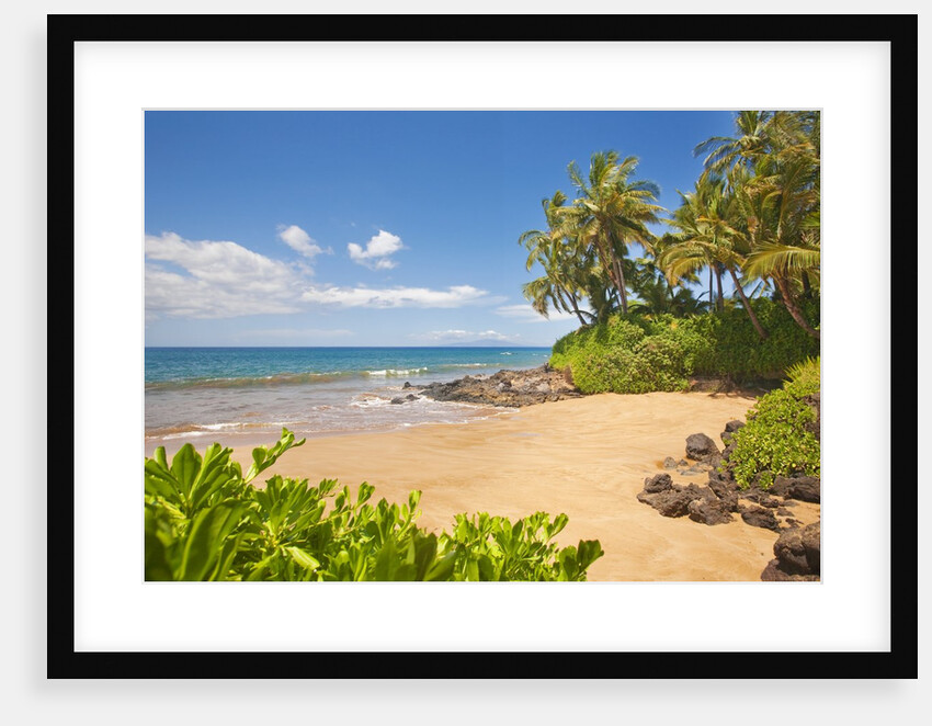 Secluded sandy beach on Maui by Anonymous
