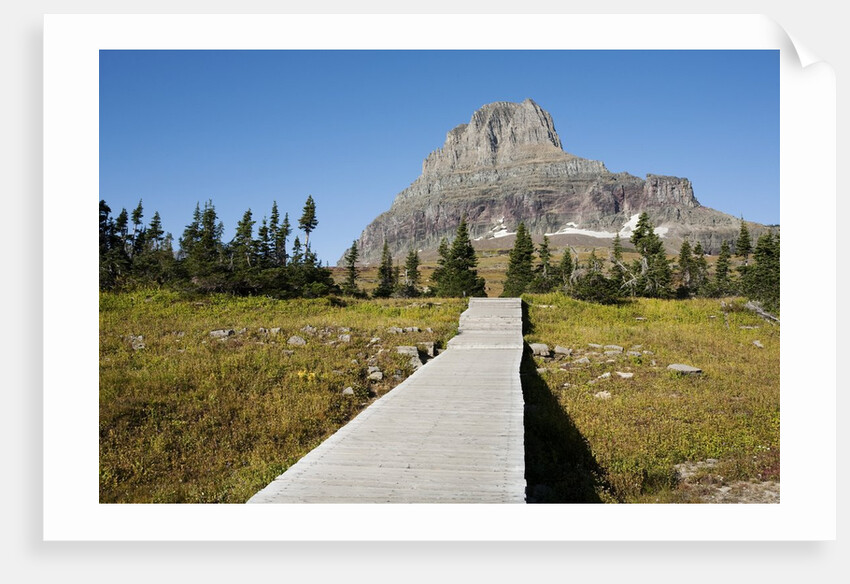 The pathway to the view of Hidden Lake by Anonymous