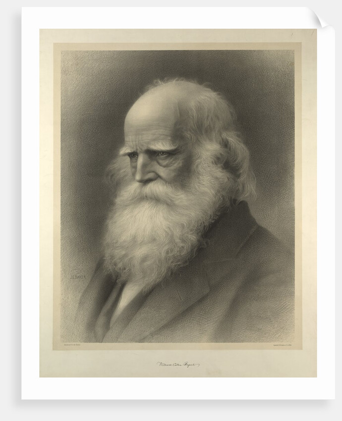 William Cullen Bryant by Anonymous