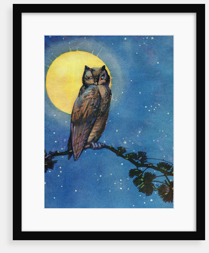 Winking owl with full moon by Anonymous