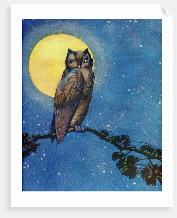 Winking owl with full moon by Anonymous
