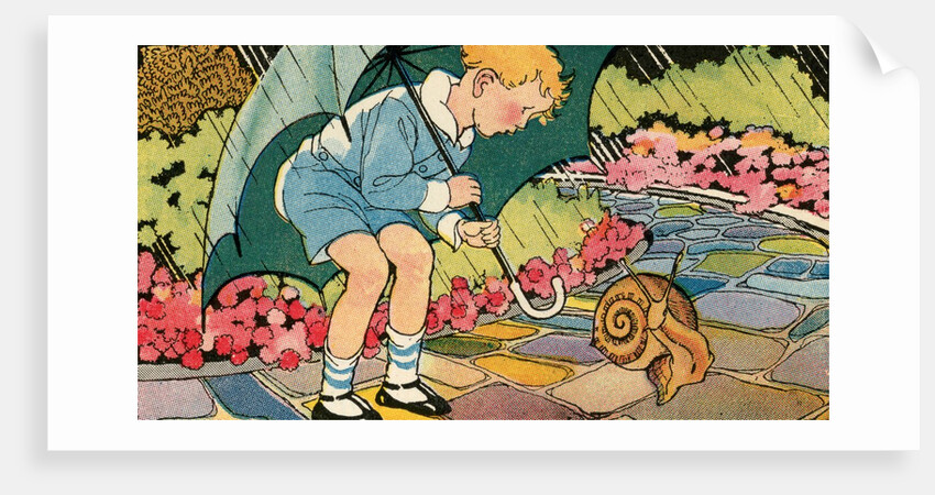 Boy looking at large snail in rain by Anonymous